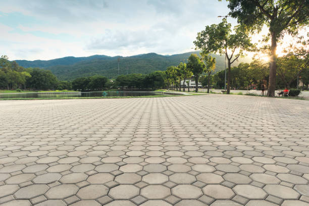 Best Commercial Driveway Pavers  in Powdersville, SC